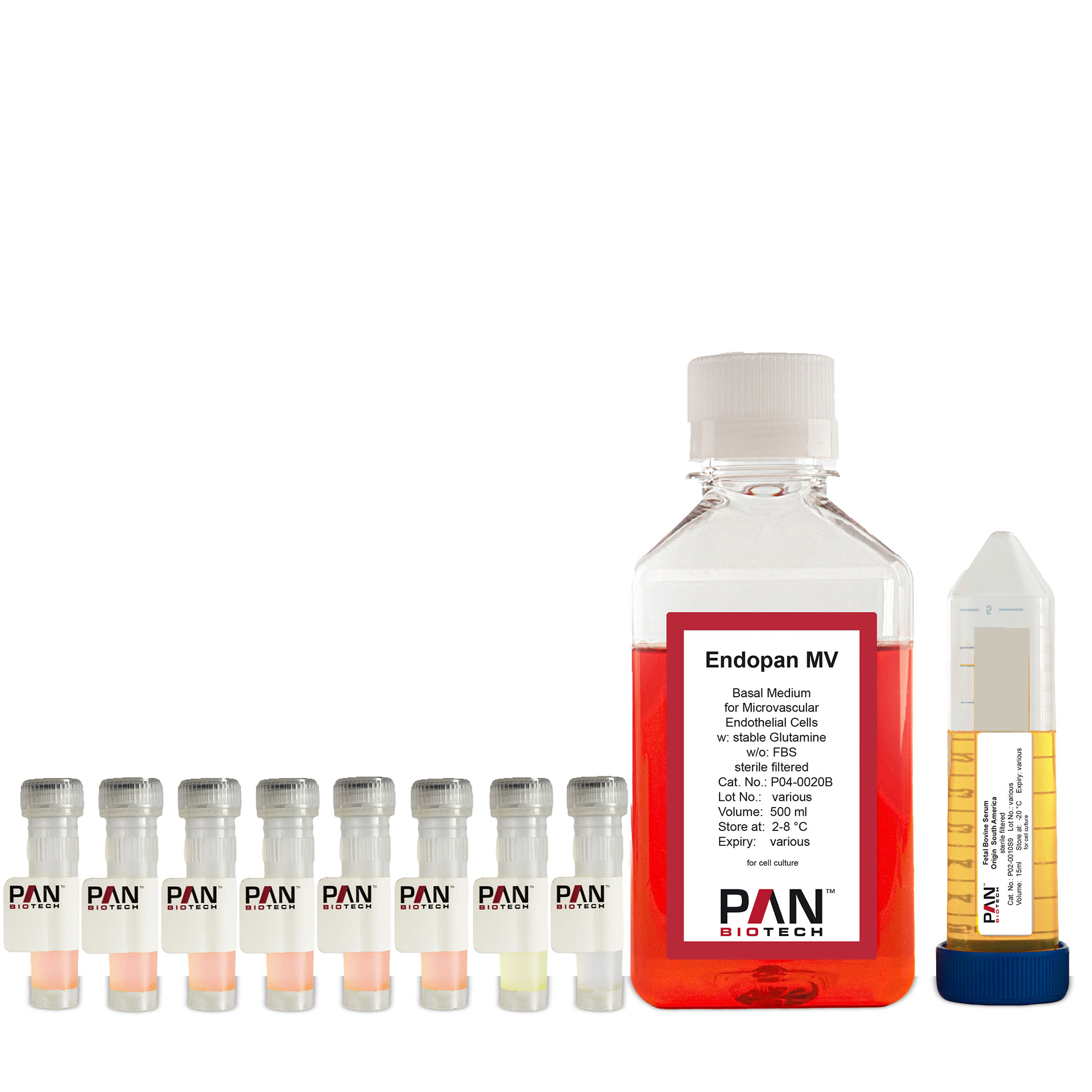 Endopan MV Kit
