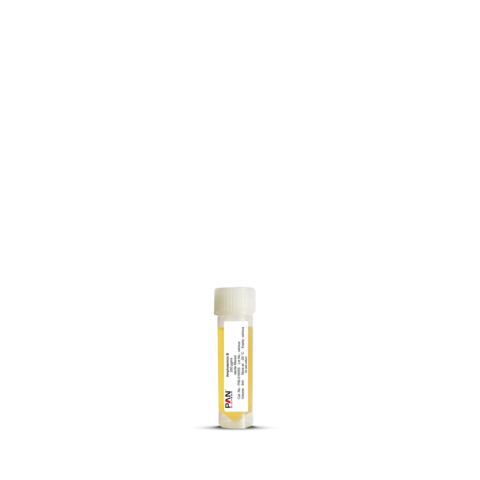 Amphotericin B, 250 µg/ml
