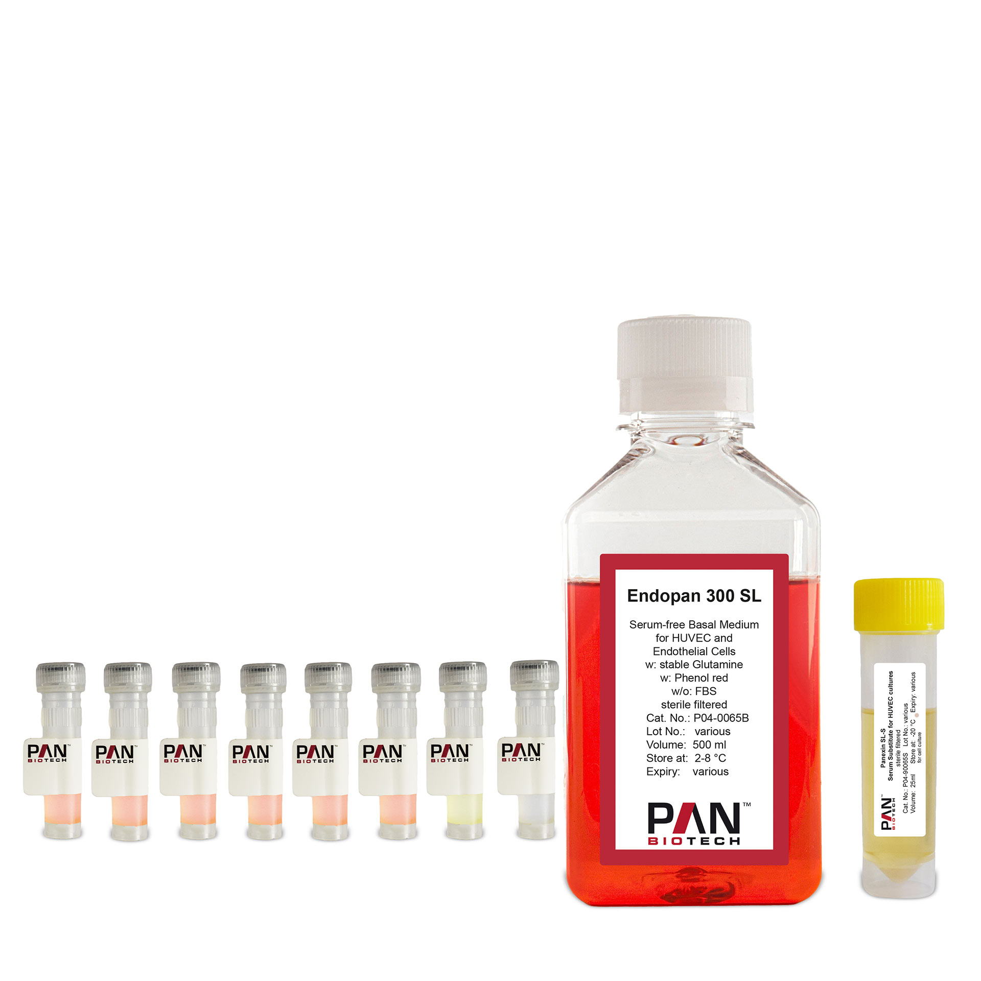 Endopan 300 SL - Serum-free medium for HUVEC and endothelial cells