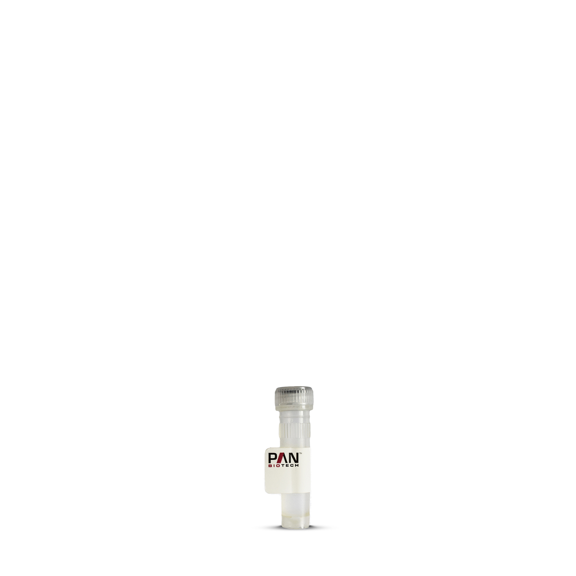 Fibronectin solution 1 mg/ml