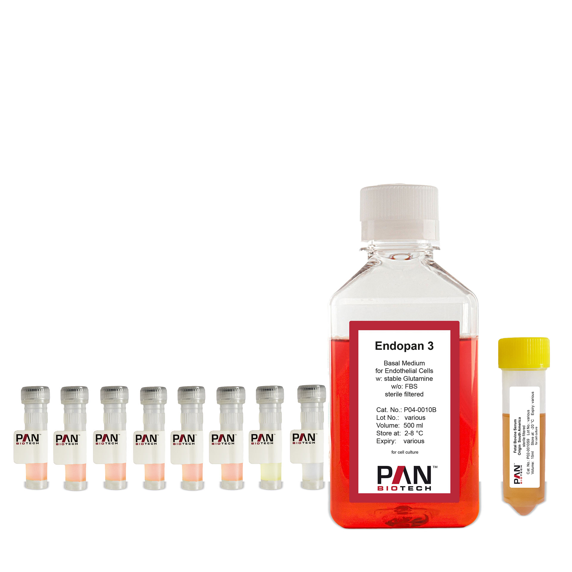 Endopan 3 Kit