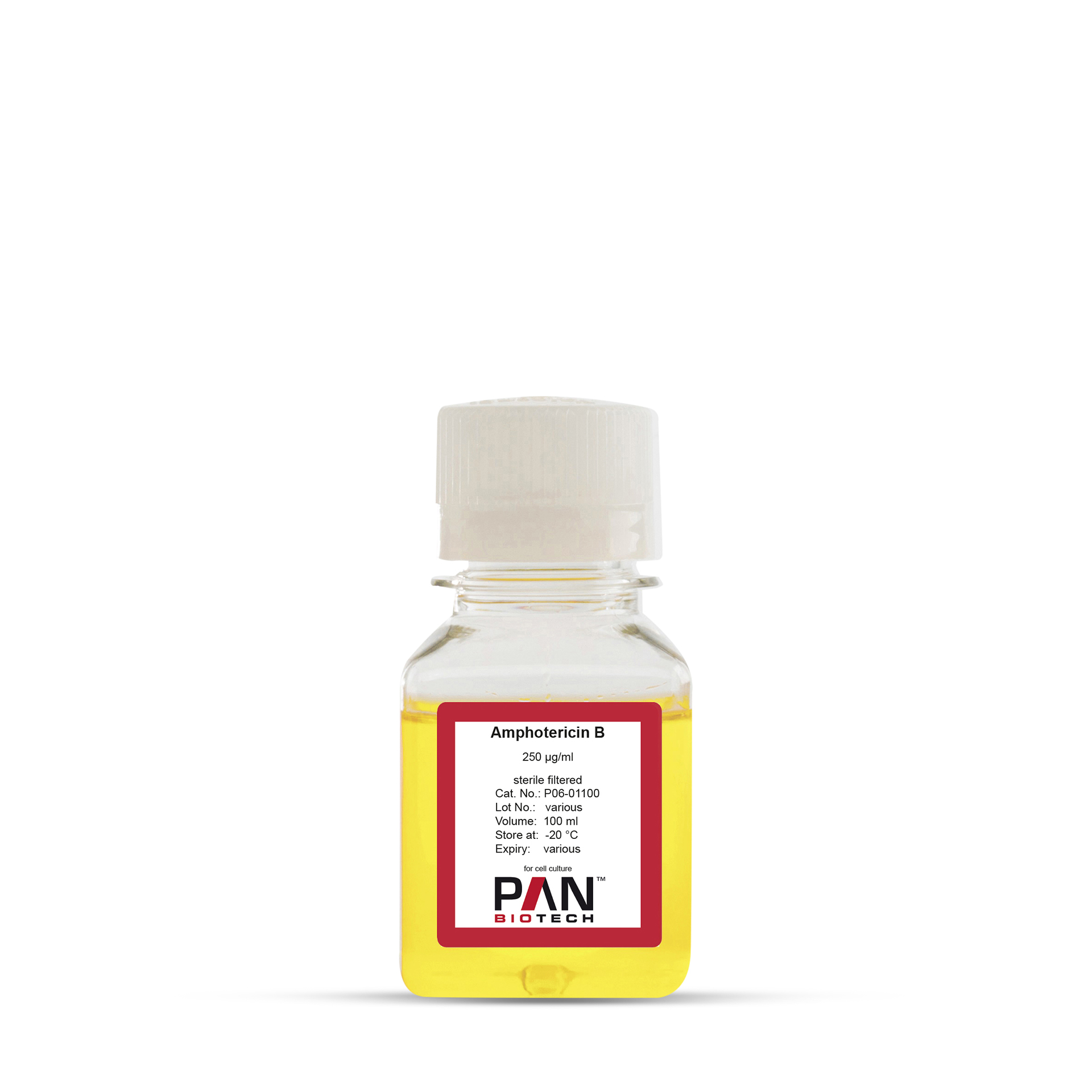 Amphotericin B, 250 µg/ml