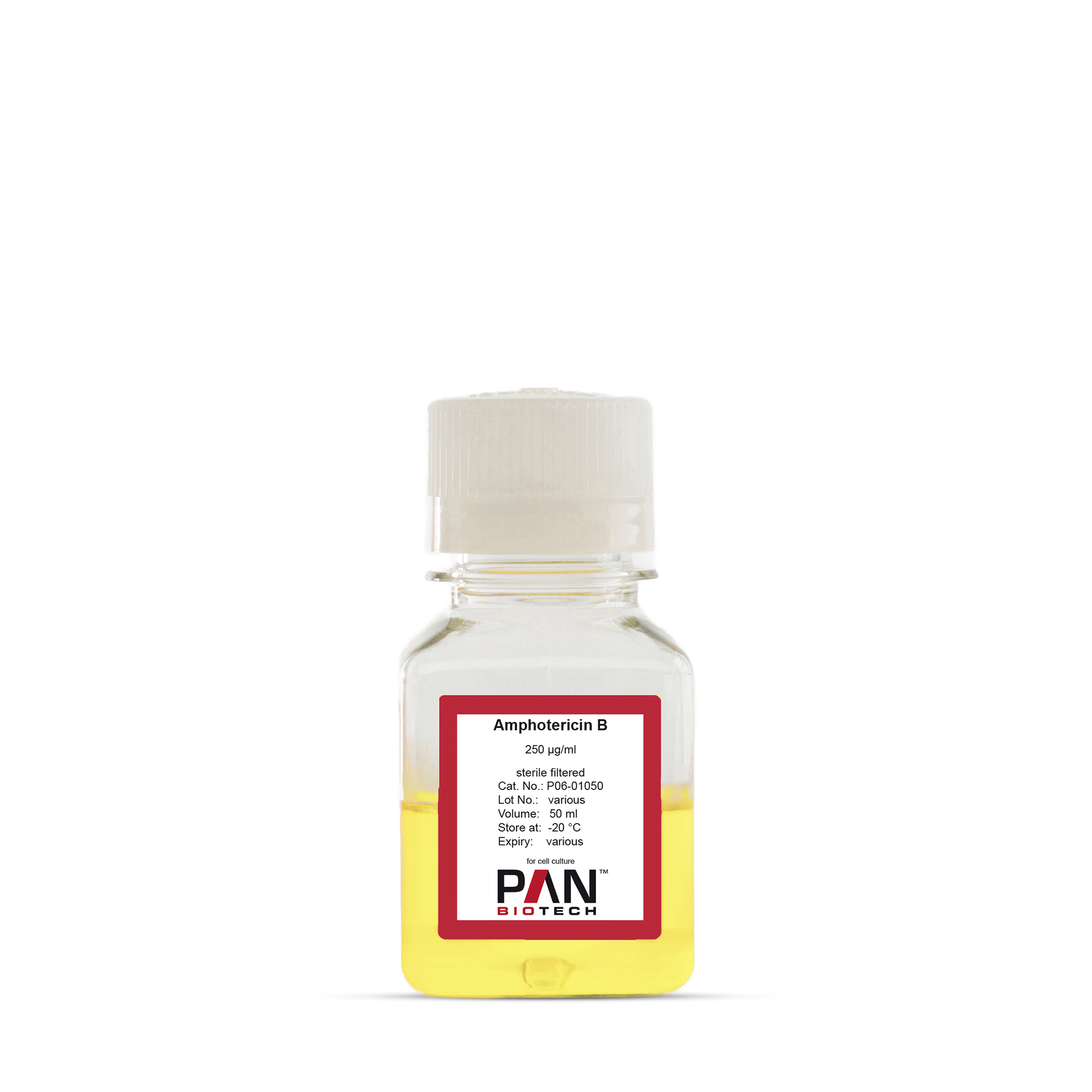 Amphotericin B, 250 µg/ml