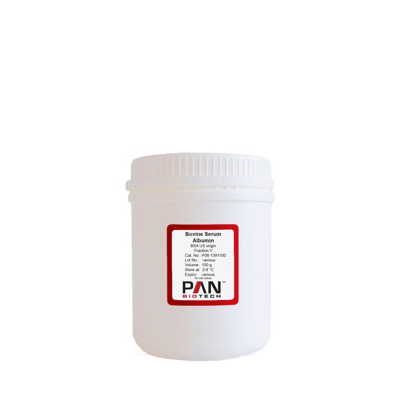 Bovine Serum Albumin (BSA) Fraction V, US Origin, lyophilized powder
